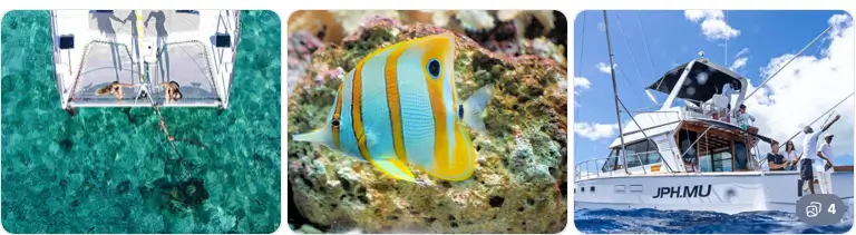 Am Meer – Leben in der Lagune und Aktivitäten