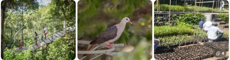 Natur trifft Wissen – Mauritius verstehen